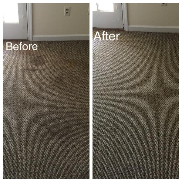 Shep's Carpet Cleaning & Restoration