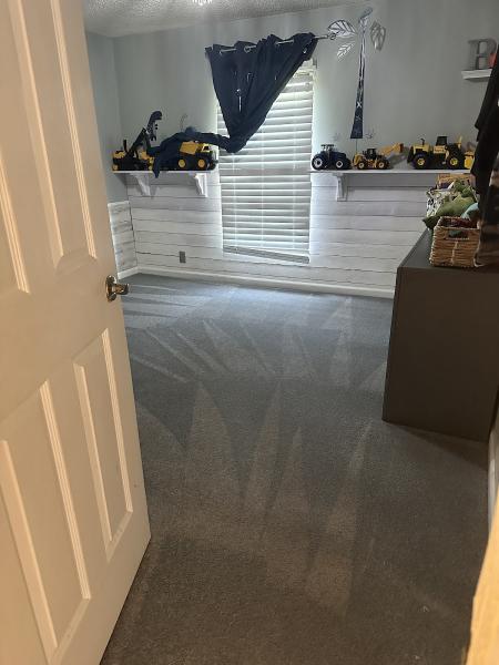 Elite Carpet Cleaners