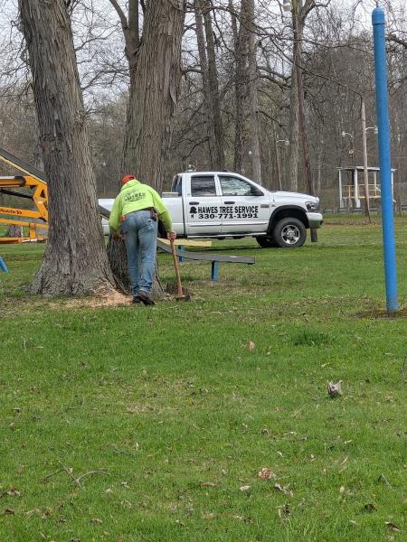 Hawes Tree Service