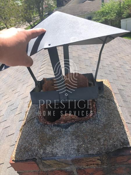 Level 7 Property Inspections