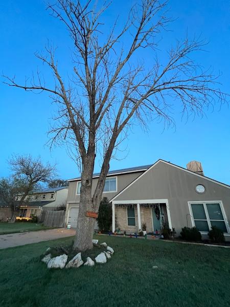 Ramirez Tree Service 512