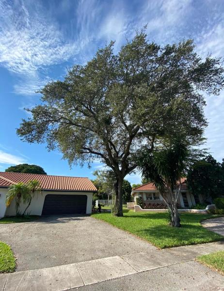Ramirez Tree Service 512