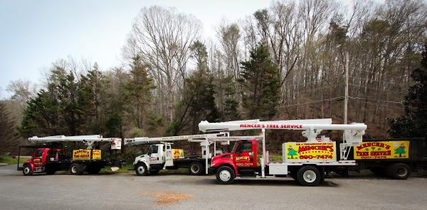 Mencer's Tree Service