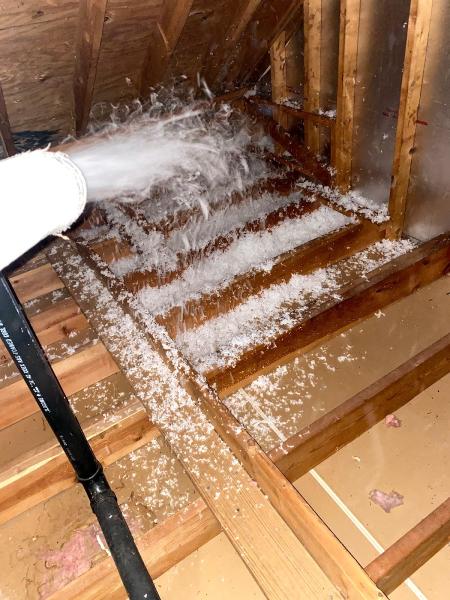 Rodent Removal Atlanta
