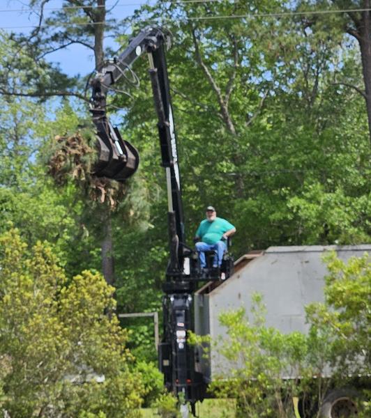 C Gull Tree Service