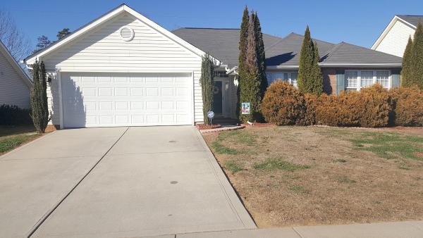 Hardy Landscaping & Lawn Maintenance