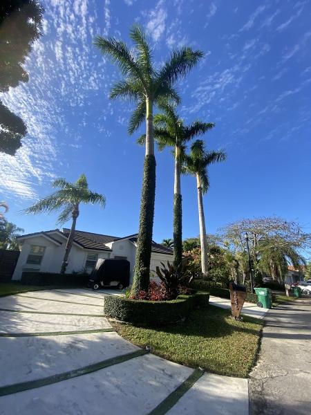 Sabino Pastor Landscaping