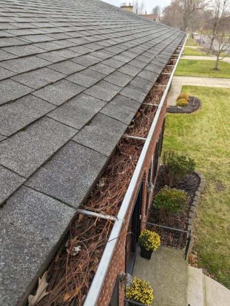 Big Time Gutter Cleaning