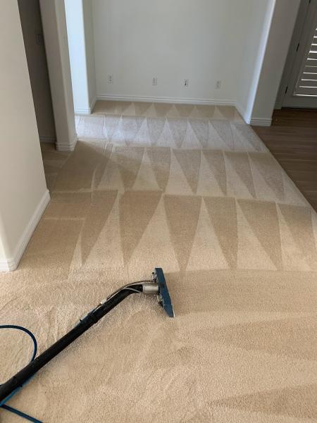 T-Pane Window & Floor Cleaning