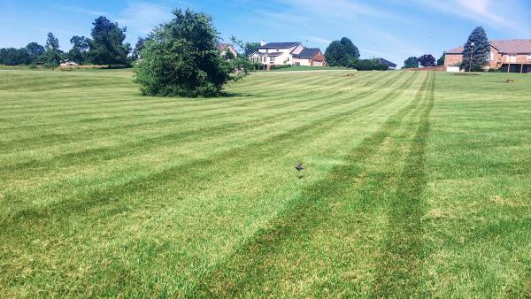 Preston's Lawn Mowing