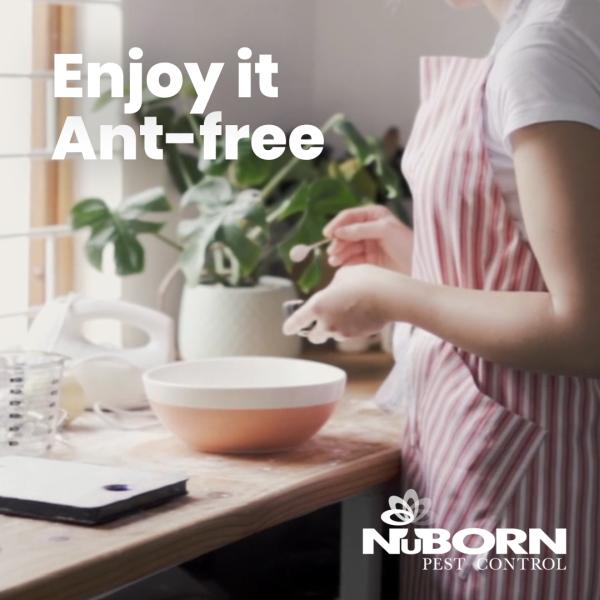 Nuborn Pest Control