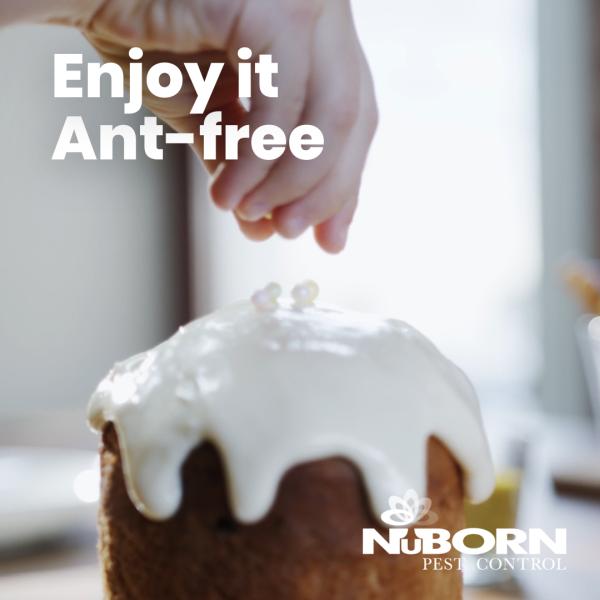 Nuborn Pest Control