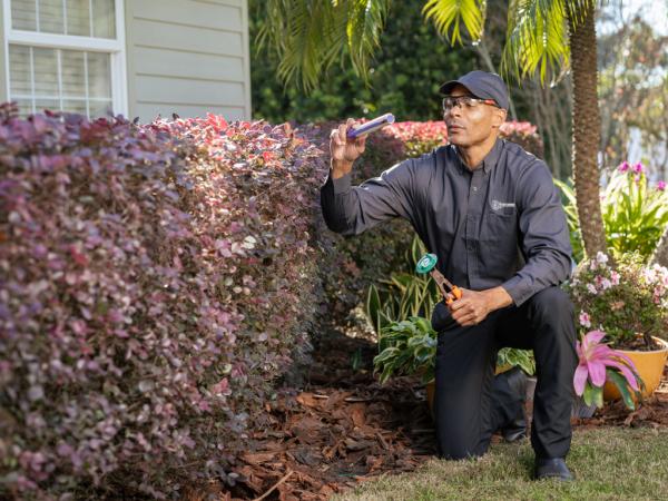 Pest Defense Solutions