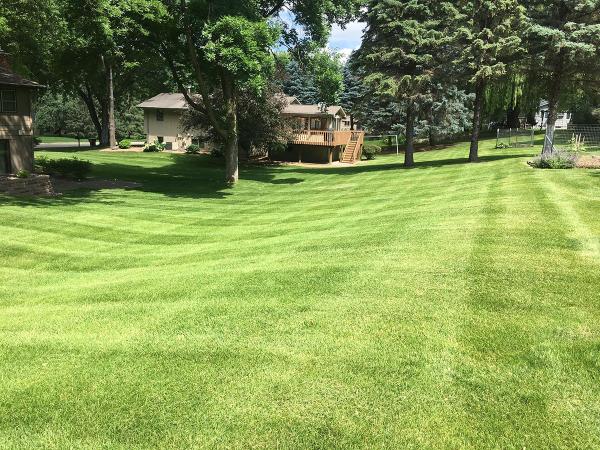 Quality Mowing