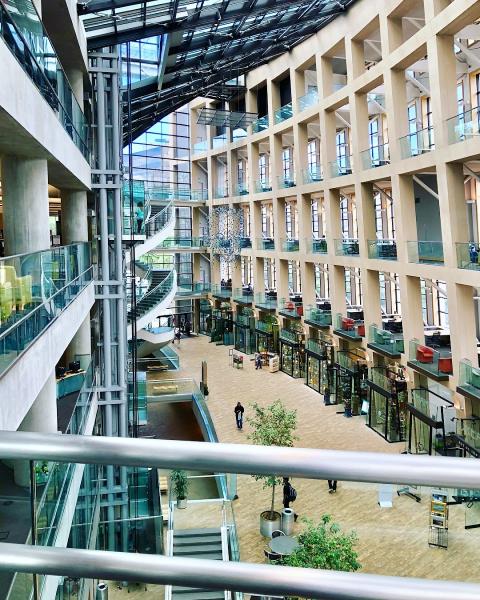 City Creek Window Cleaning
