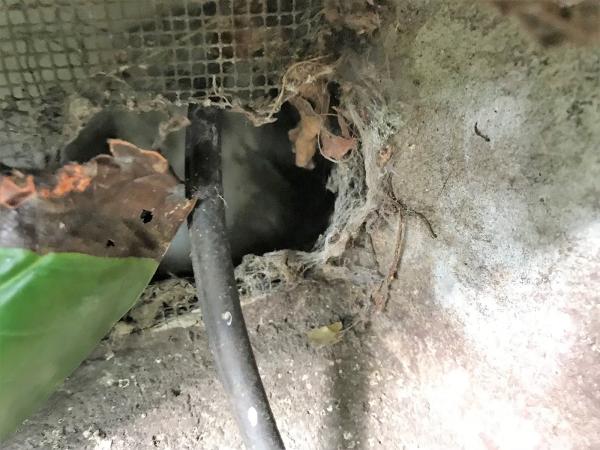 Guard Pest Control