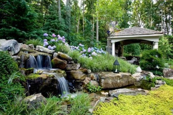 Paradise Ponds and Aquatics