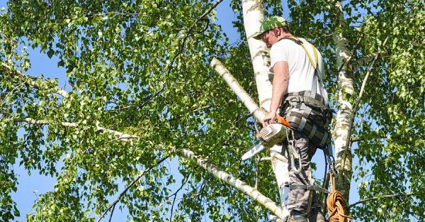 Coppell Tree Care