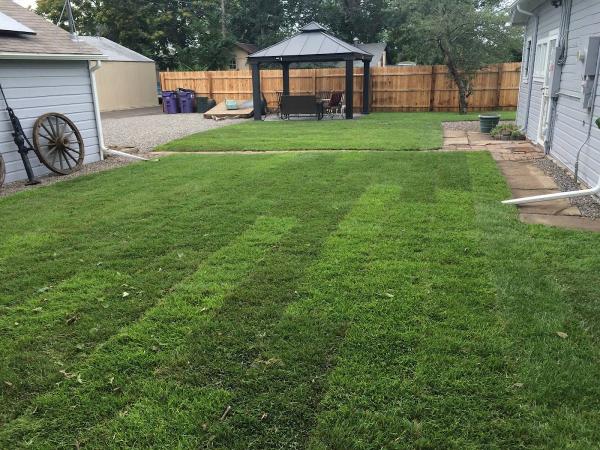 Denver Sprinkler and Landscape Inc.