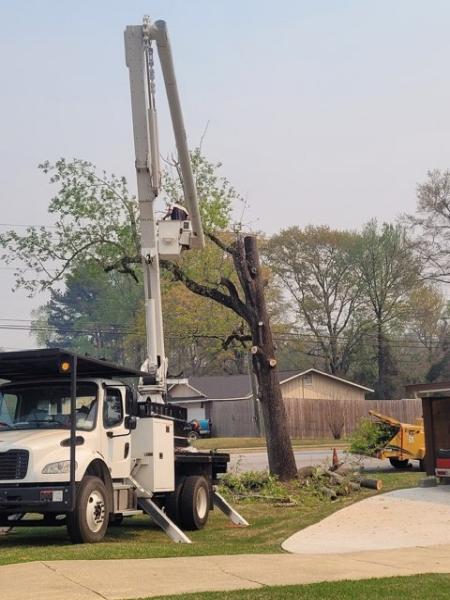 Foster's Tree Service