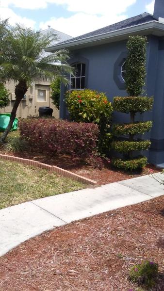 Aguilera Lawn Care