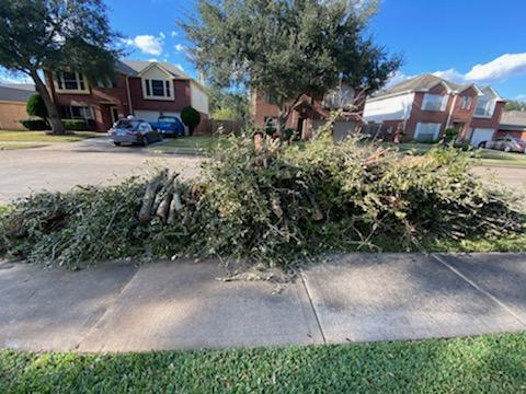 H-Town Junk Removal