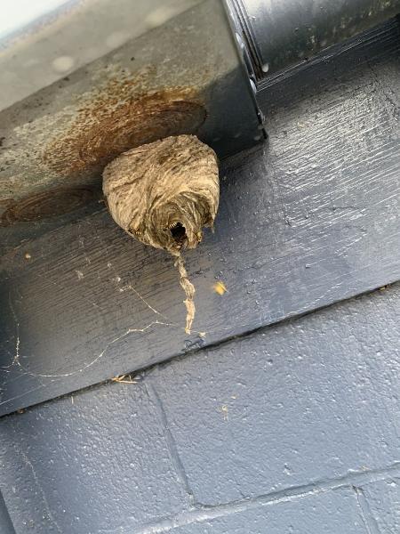 Eagle Eye Pest Control Inc.