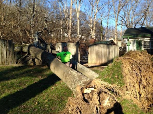 Higher Calling Tree Services