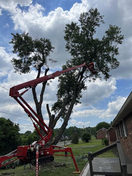 Higher Calling Tree Services
