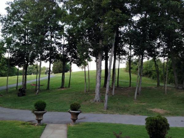 Higher Calling Tree Services