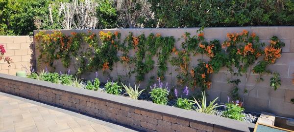 J&J Landscape Concepts