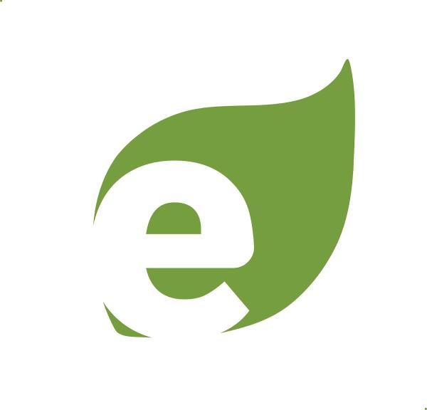 Essential Cleaning