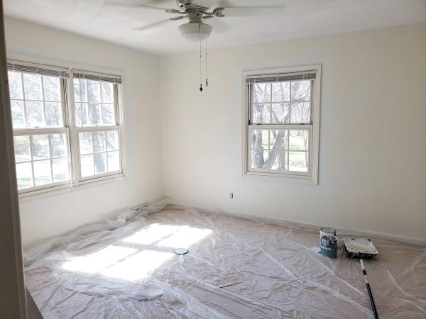 Dmfc Painting Company