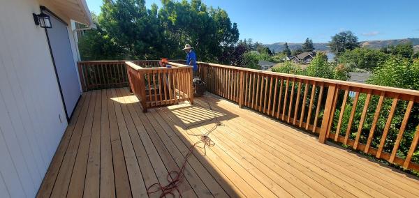 Go Green Cleaning & Maintenance Services