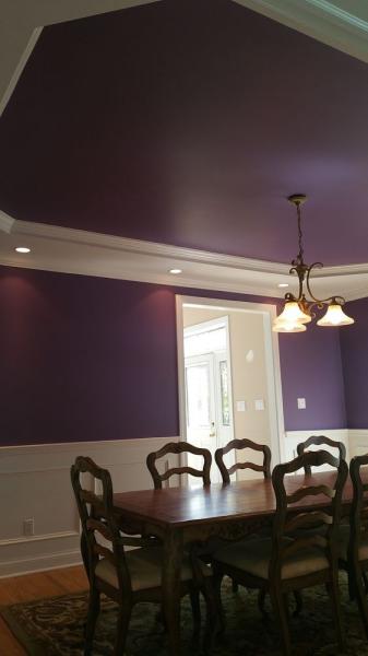 Protastic Painting