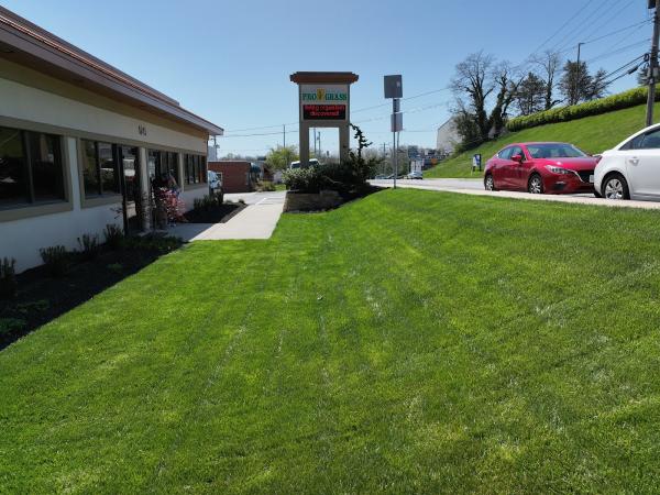 Pro Grass Inc.