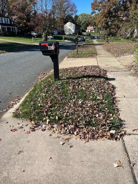 Pro Grass Inc.
