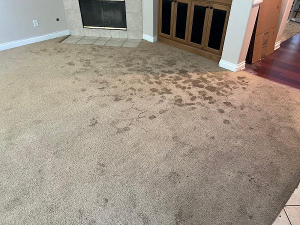 Fifth Labor Cleaning Services