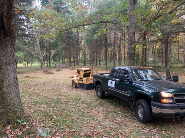 WJ Tree Service Inc