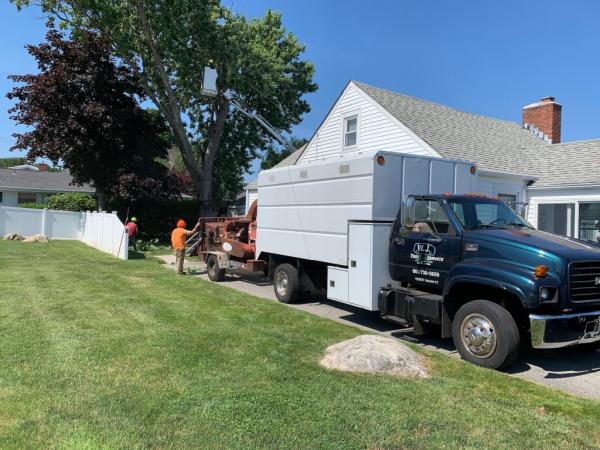 WJ Tree Service Inc