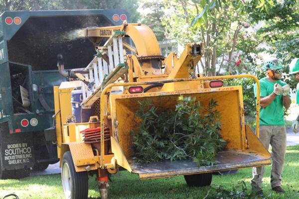Sox & Freeman Tree Expert Co