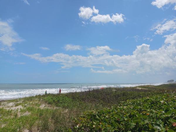 Coldwell Banker Paradise Real Estate