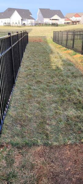 Addicted to Grass