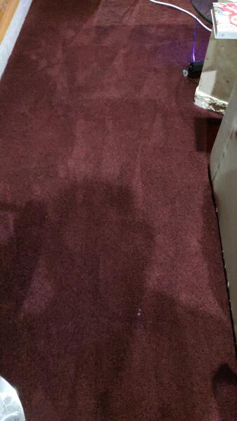 TCM Carpet Cleaning & Floors
