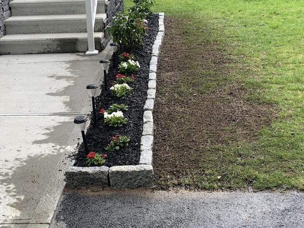 Harry Professional Landscaping Services