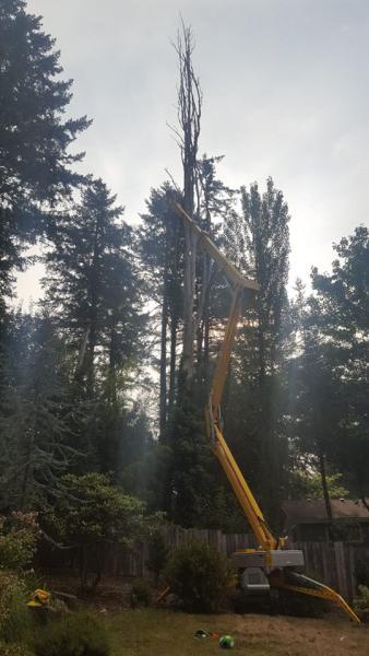 Jacob's Ladder Tree Service