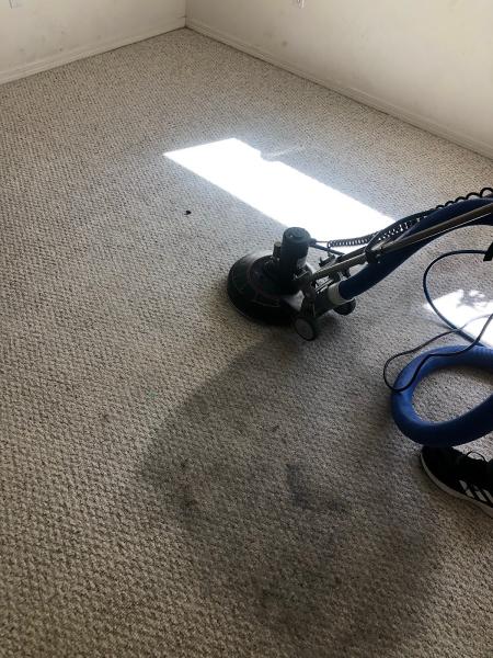 Custom Carpet and Upholstery Cleaning