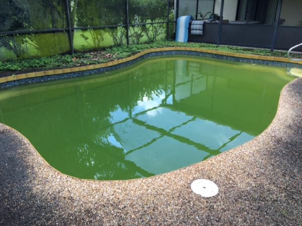 On-Time Pool Service