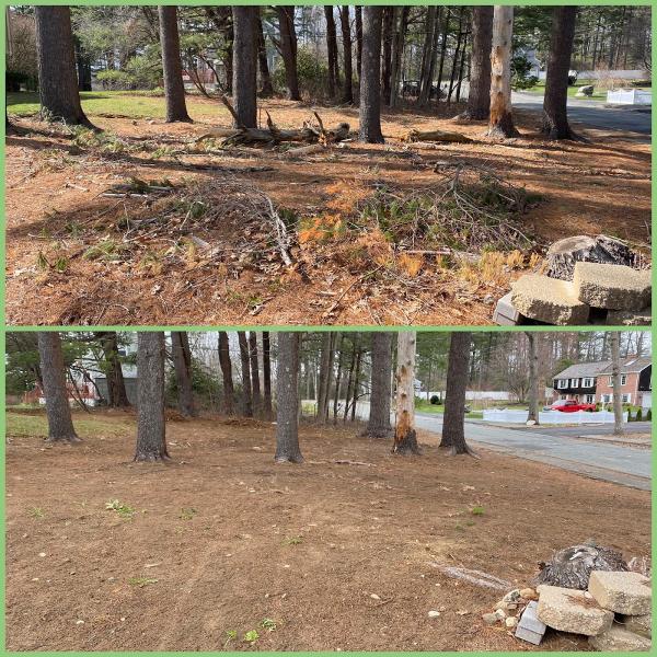 Triple A Clean Out & Junk Removal