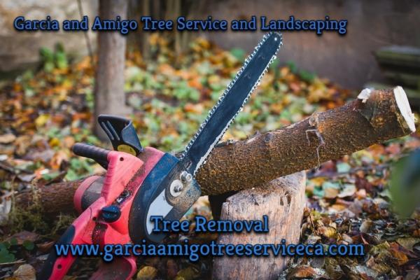 Garcia and Amigo Tree Service and Landscaping